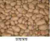 Description: http://www.krishibangla.com/mediafile/2%284%29.jpg