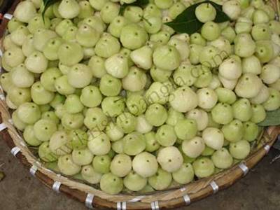 Description: /docsdb/jamrul_files/image001.jpg